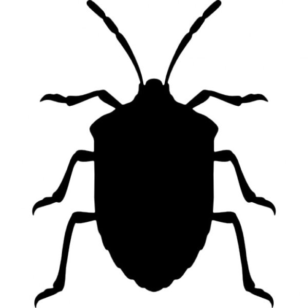 Силуэты Жуков