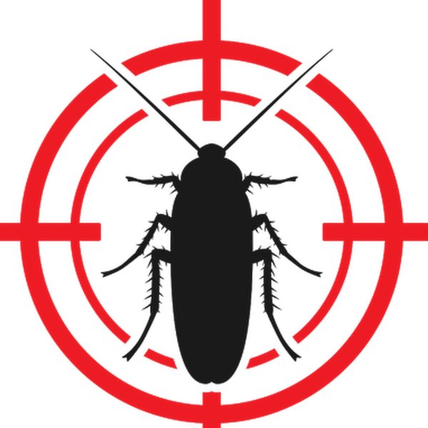 Тараканы логотип