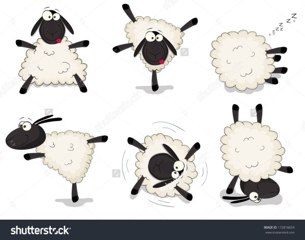 Векторная Овечка милая
