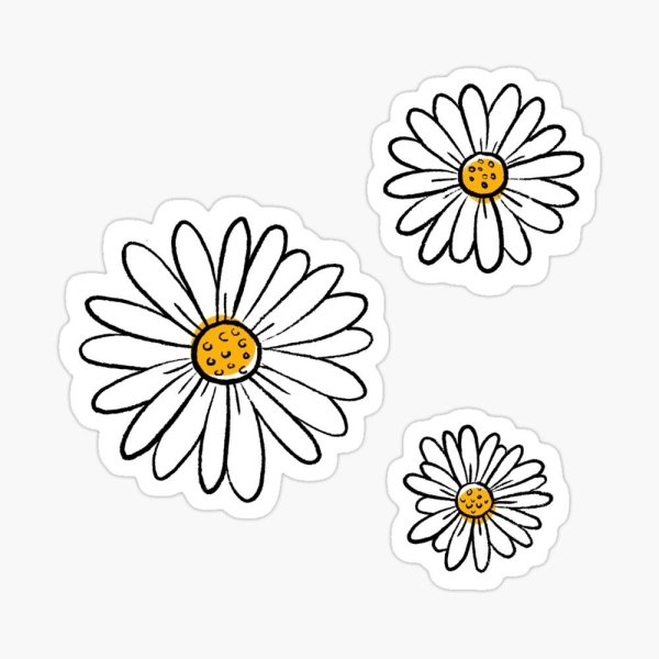 Наклейка ромашки