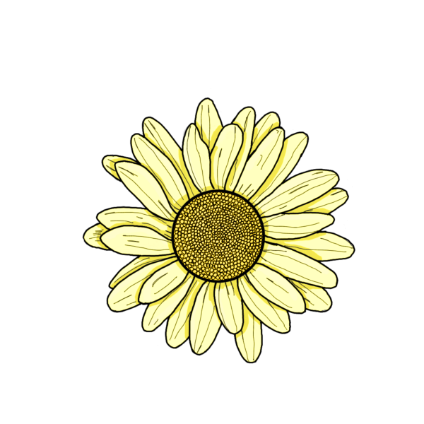 Стикер Ромашка