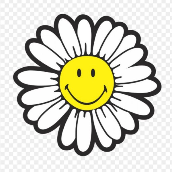Ромашка с улыбкой