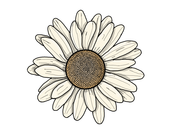 Векторная Ромашка