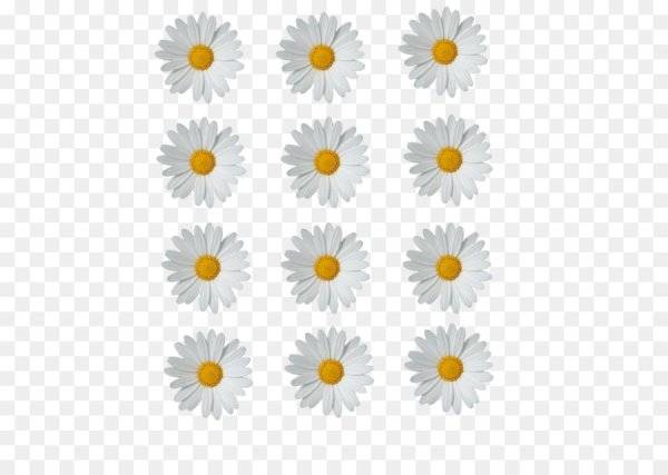 Листочки ромашки