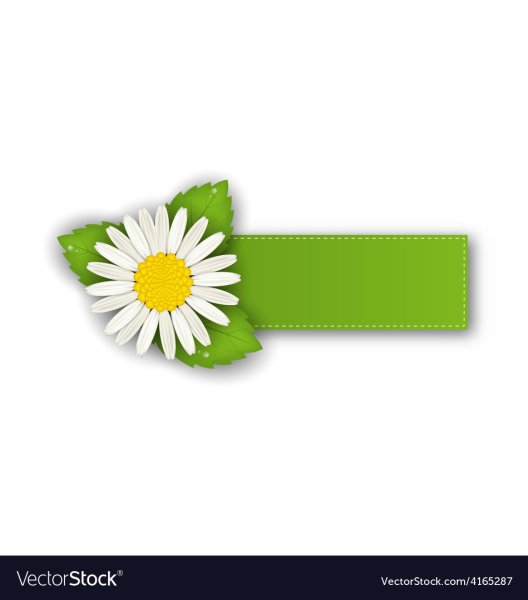 Желтый цветок для детей