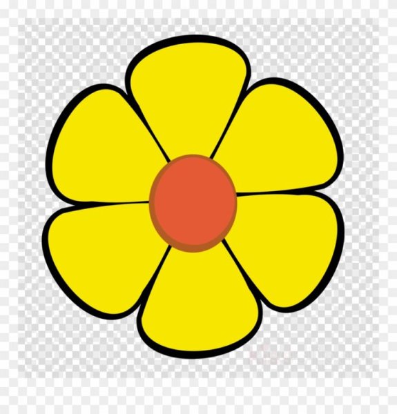 Клипарт ромашки на прозрачном фоне