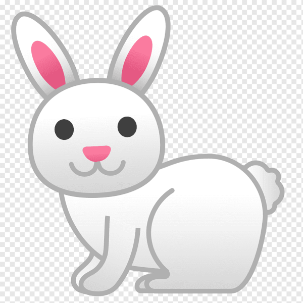 Наоми Лорд зайчик