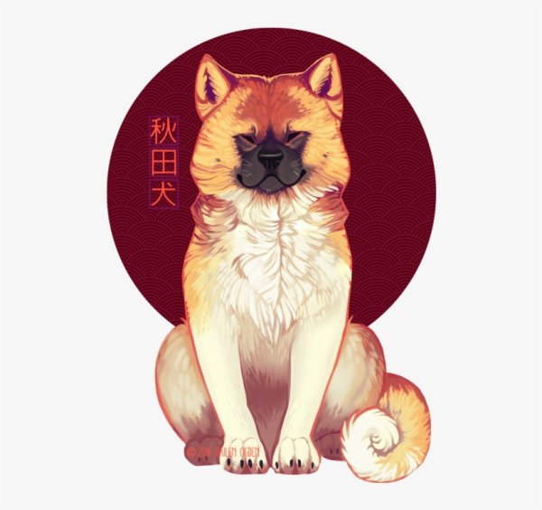 Собака Шиба ину арт