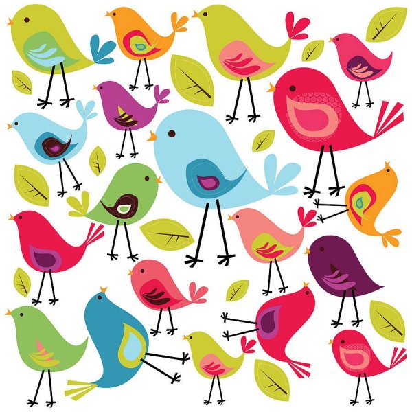 Птицы (с наклейками)