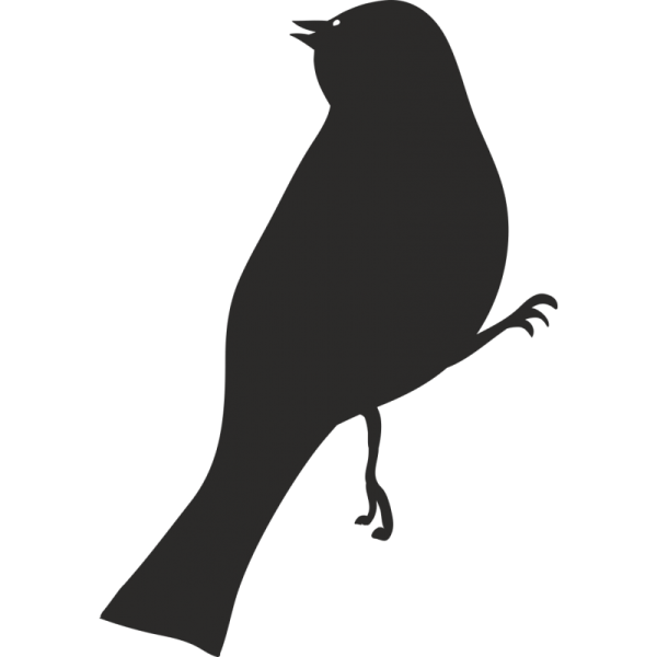 Стикеры птички