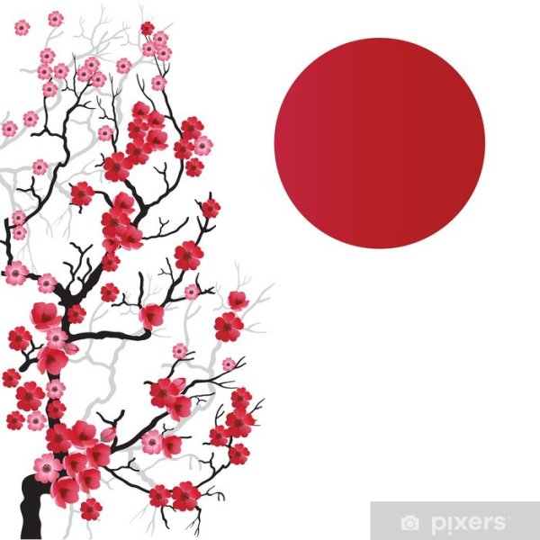 Сакура на фоне красного солнца