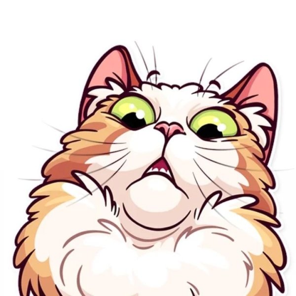 Кошка стикер телеграмм