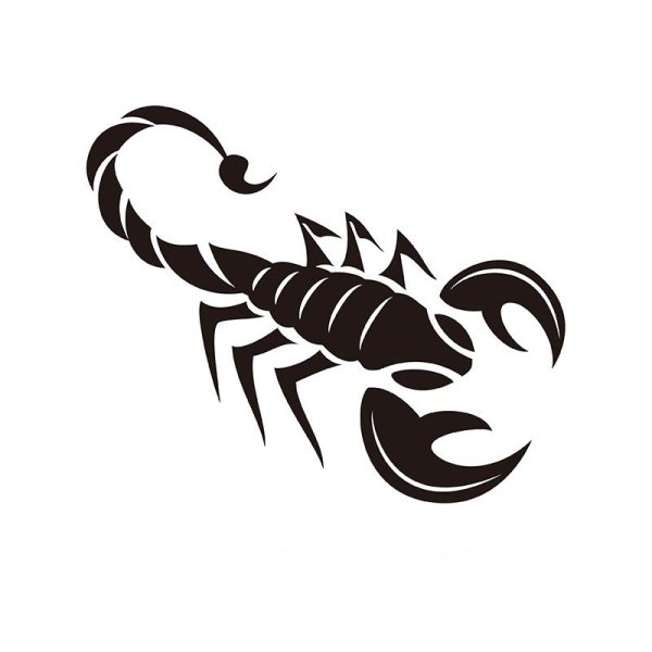Наклейка Скорпион