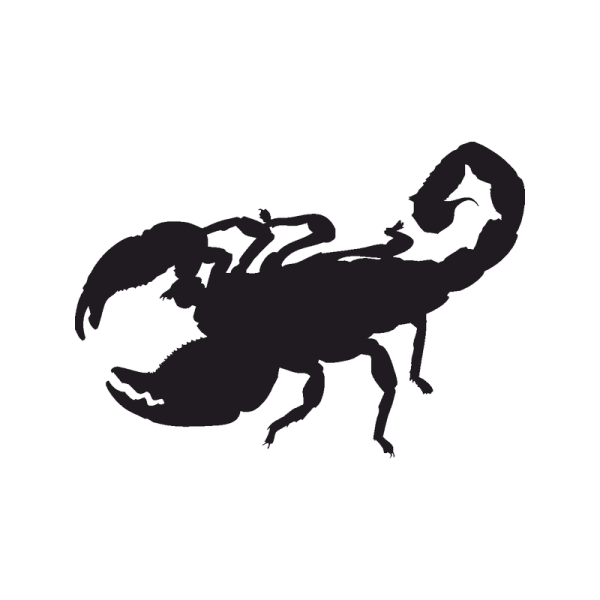 Скорпион гравировка