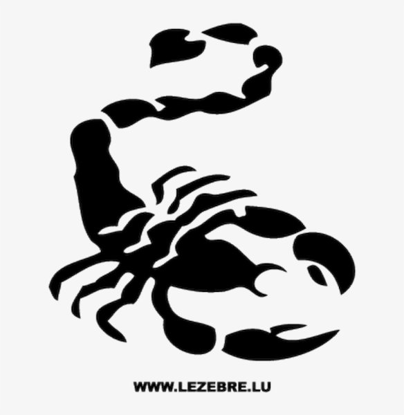 Скорпион термотрансфер