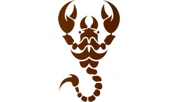 Скорпион вектор