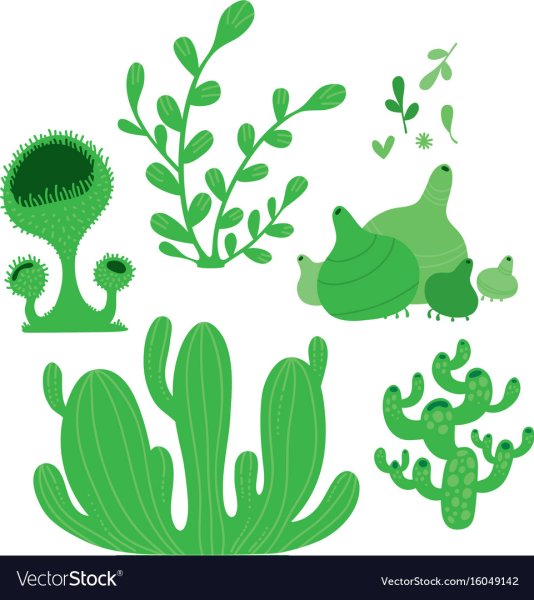 Мох векторный клипарт