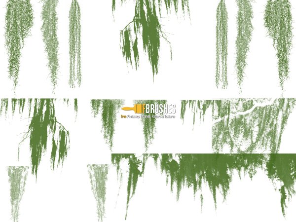 Кисть травы мох