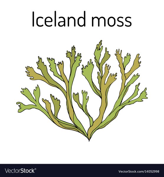 Стикеры хомяк мох