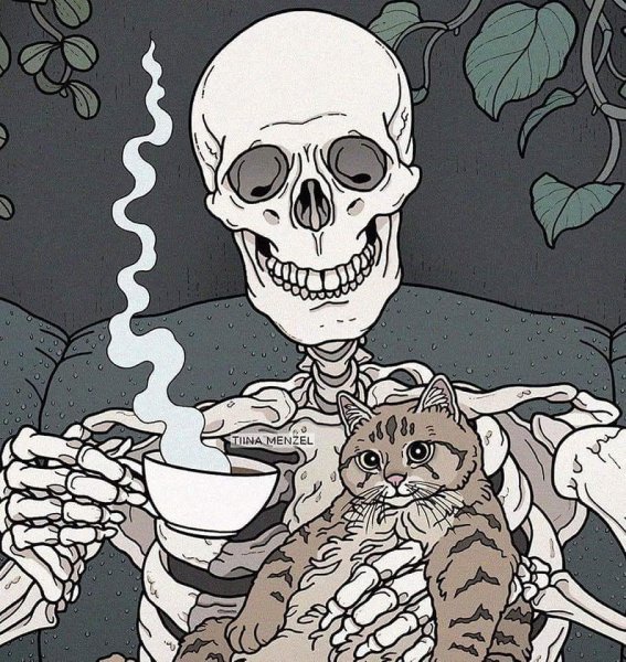 Скелет кота