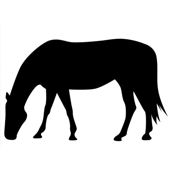 Наклейки лошади