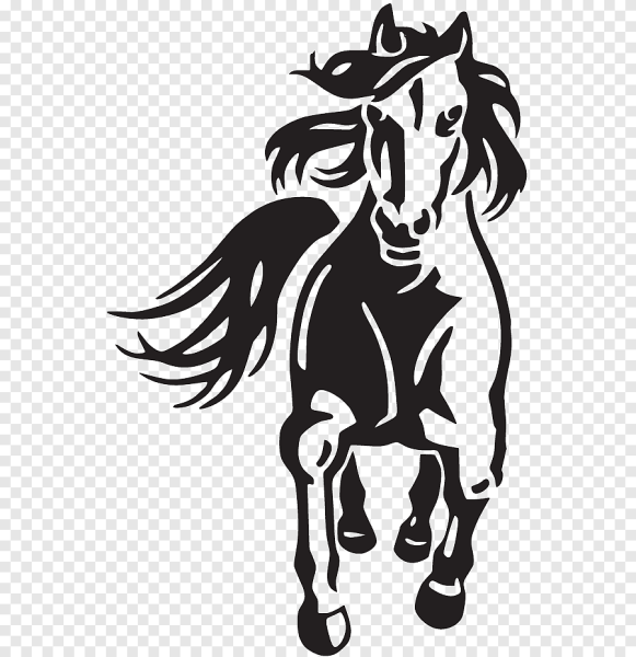 Лошадь бежит на двух ногах