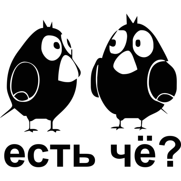 Бирки с котиками