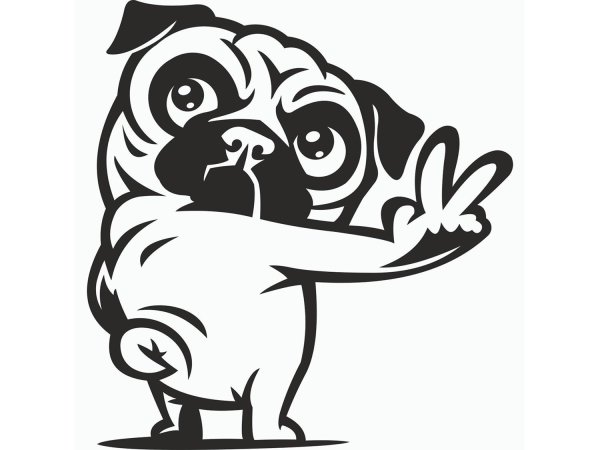 Прикольные черно белые картинки