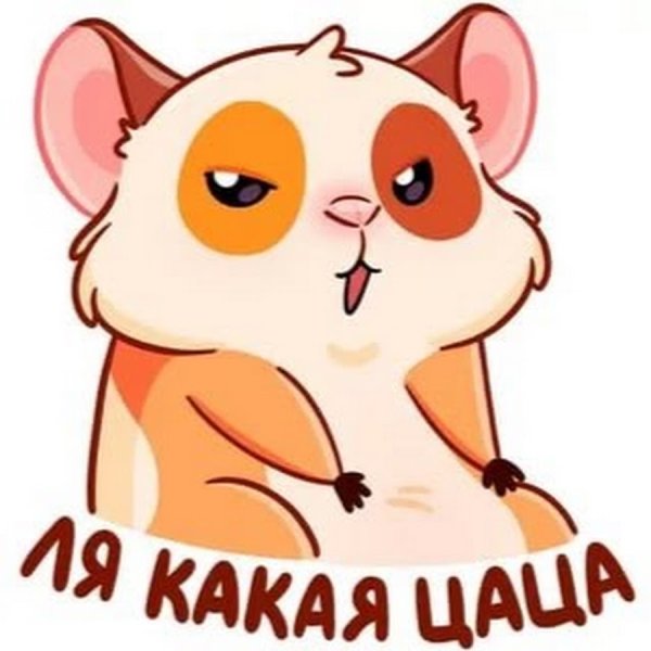 Подарок набор стикеров ВК