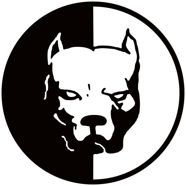 Питбуль Давидыча