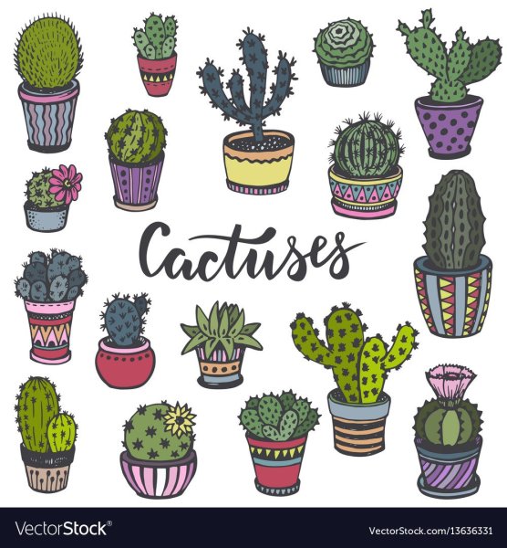 Стикеры кактусы