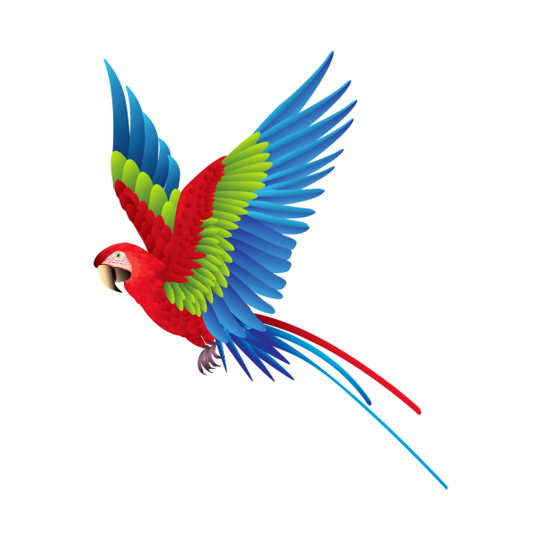 Мультяшный попугай в полете