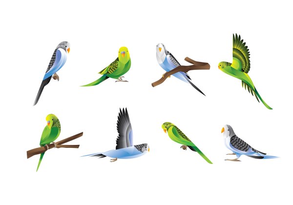 Наклейка попугай