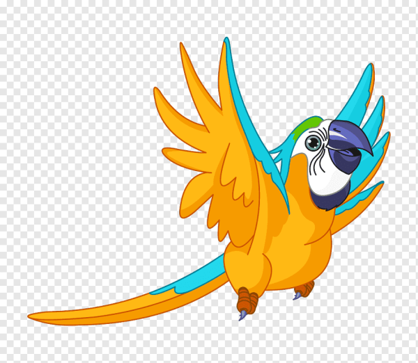 Мультяшный попугай в полете