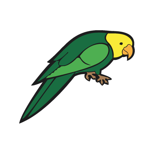 Векторный попугай