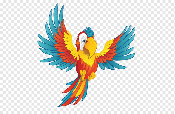 Попугай клипарт