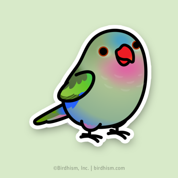 Стикеры попугай телеграмм