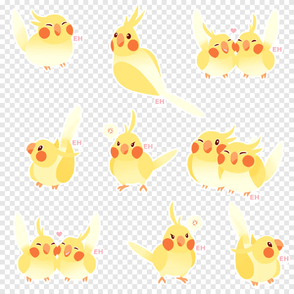 Попугай на ветке для детей