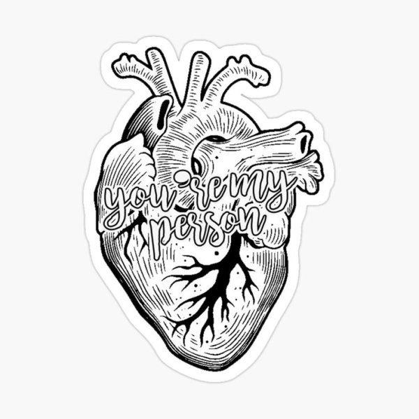 Кот персик ВК серый