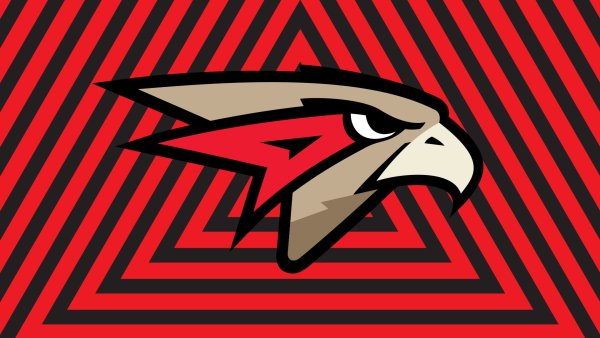 Флаг Авангарда хоккейный клуб