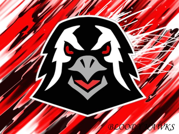 Лого Омский Авангард Ястребы