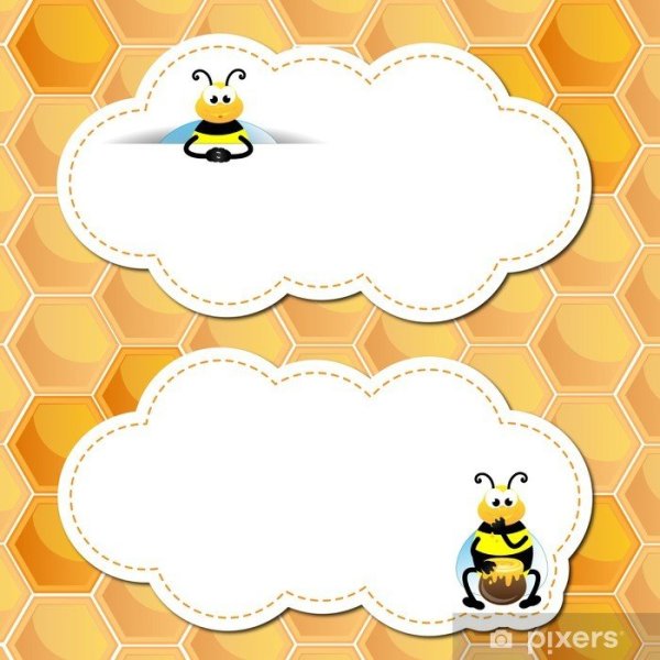 Мед рисунок скетч