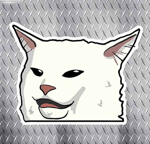 Стикеры коты мемы