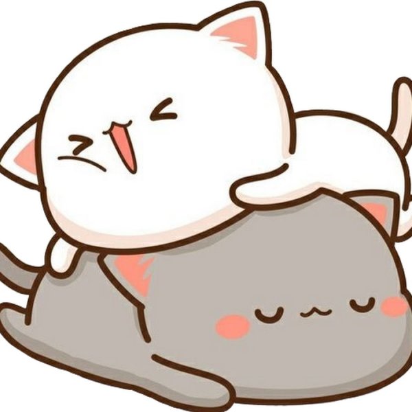 Кавайные котики