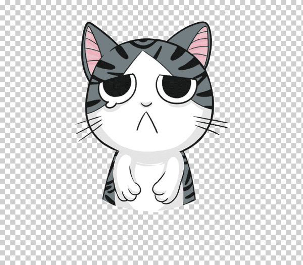 Котик с фикбука