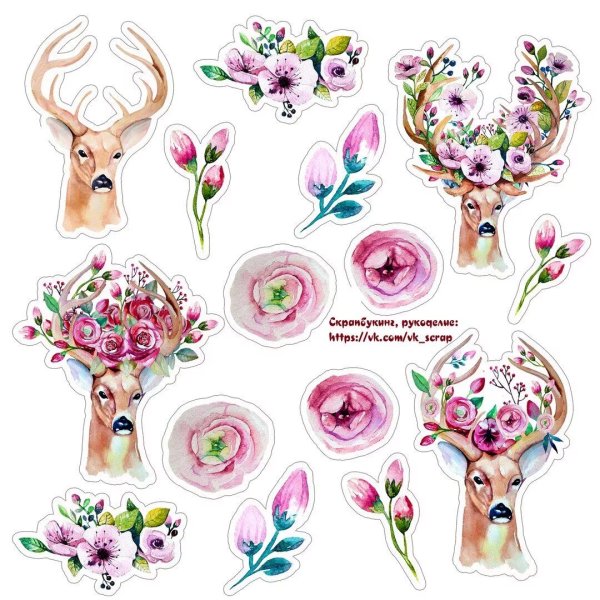 Цветок Сакуры вектор