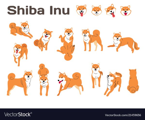 Шиба ину вектор