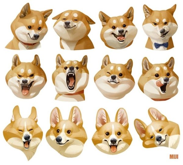 Акита ину референс