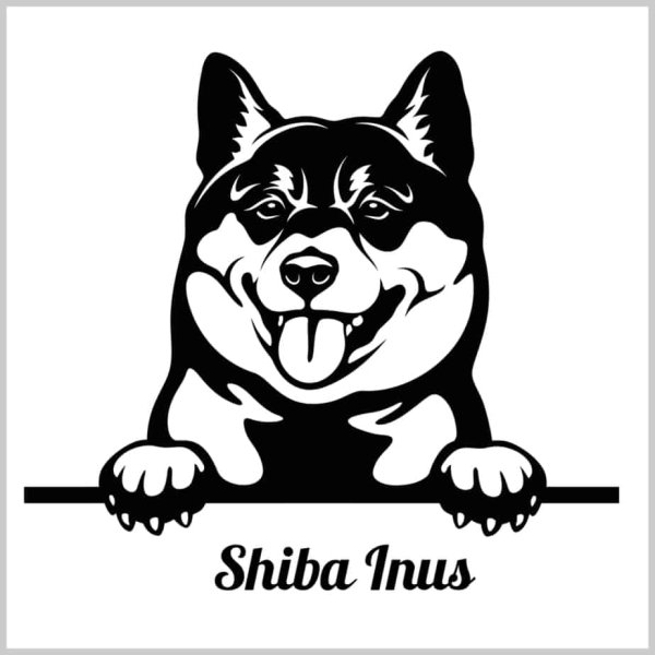 Сиба ину вектор