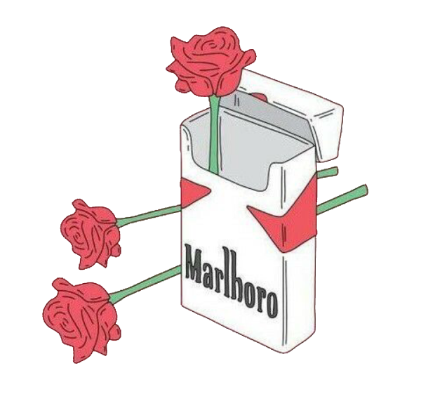 Сигареты роза